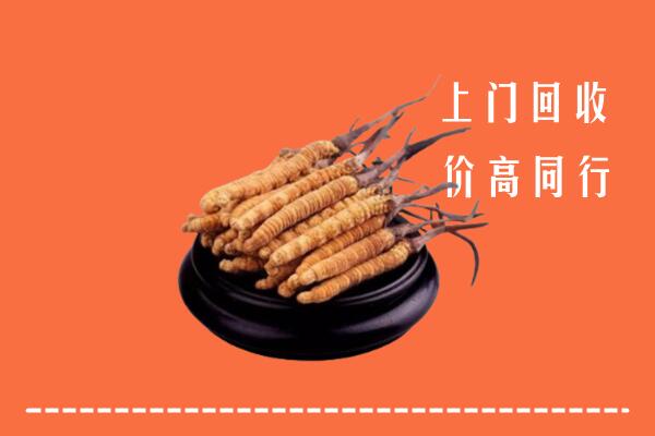 高价求购：向阳回收散虫草