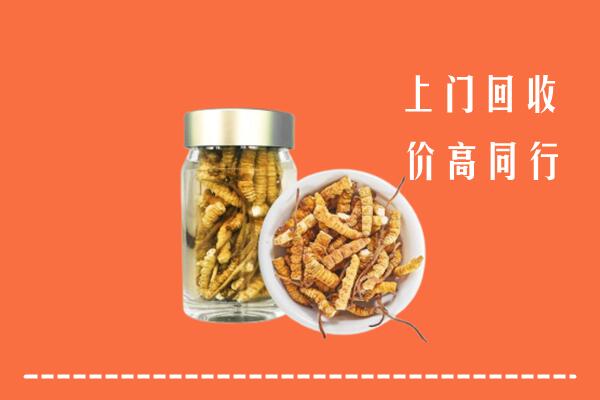 收购行情：向阳回收冬虫夏草