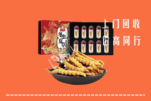 收购行情：向阳回收虫草